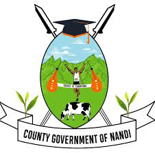 logo nandi